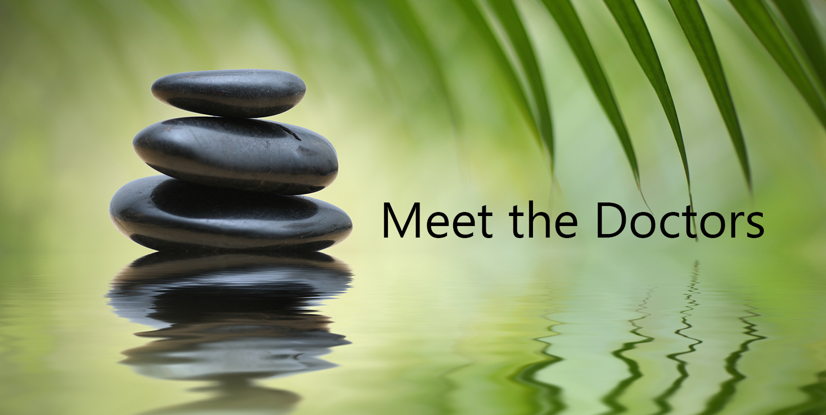 Holistic Doctors in South Florida Boca Raton Acupuncture